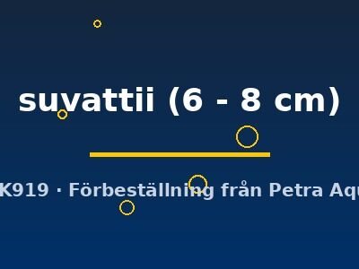 suvattii (6 - 8 cm)