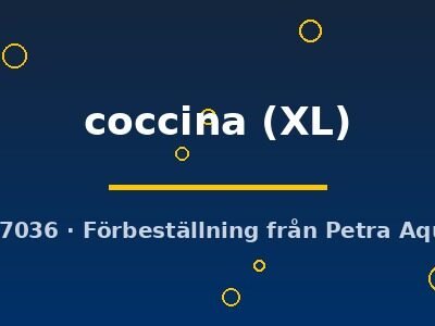 coccina (XL)