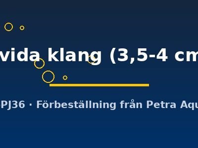 livida klang (3,5-4 cm)