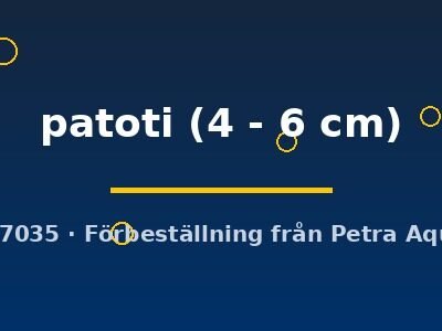 patoti (4 - 6 cm)