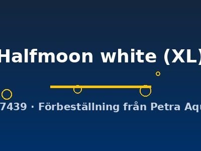Halfmoon white (XL)