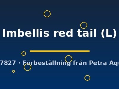 Imbellis red tail (L)