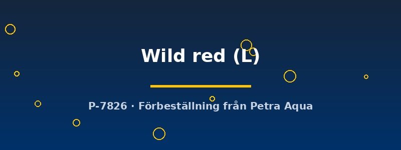 petra-ph2-181264 petra-ph2-181264