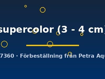 supercolor (3 - 4 cm)