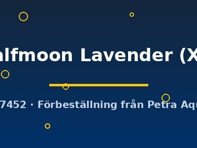 Halfmoon Lavender (XL)