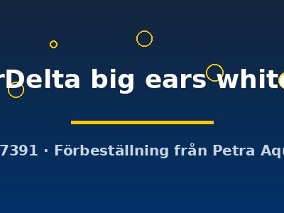 SuperDelta big ears white (XL)