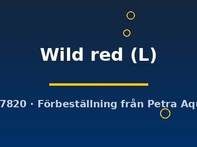 Wild red (L)