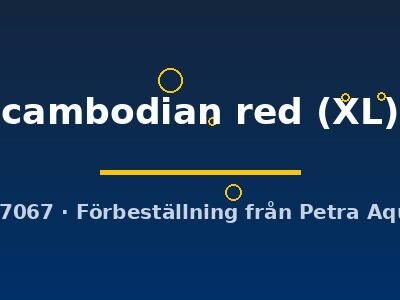 cambodian red (XL)
