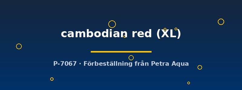 petra-ph2-181342 petra-ph2-181342