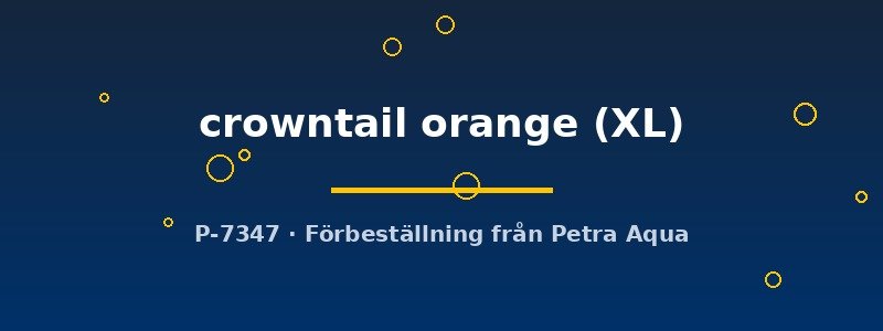 petra-ph2-181358 petra-ph2-181358
