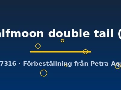 halfmoon double tail (L)