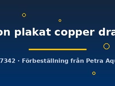 halfmoon plakat copper dragon (L)