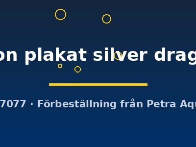 halfmoon plakat silver dragon (XL)