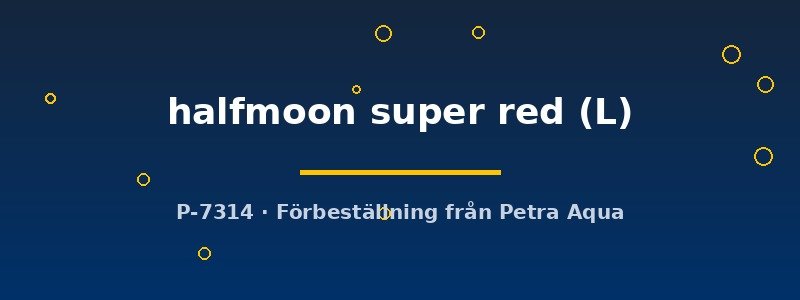 petra-ph2-181423 petra-ph2-181423