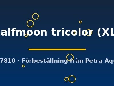 halfmoon tricolor (XL)