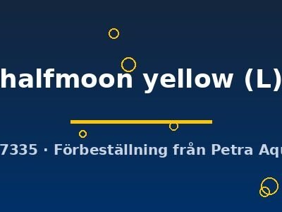 halfmoon yellow (L)