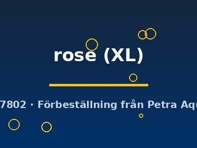 rose (XL)