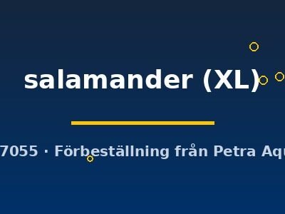 salamander (XL)
