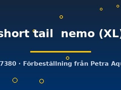 short tail  nemo (XL)