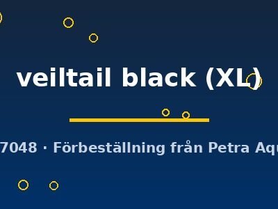 veiltail black (XL)