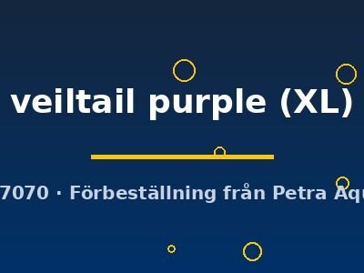 veiltail purple (XL)