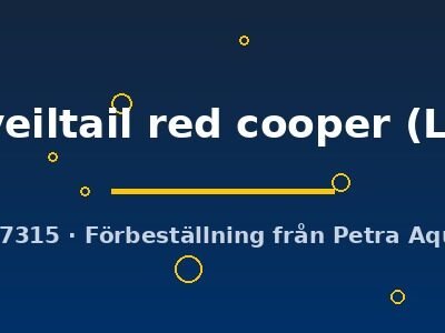 veiltail red cooper (L)