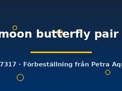 halfmoon butterfly pair (XL)