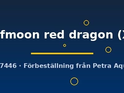 halfmoon red dragon (XL)
