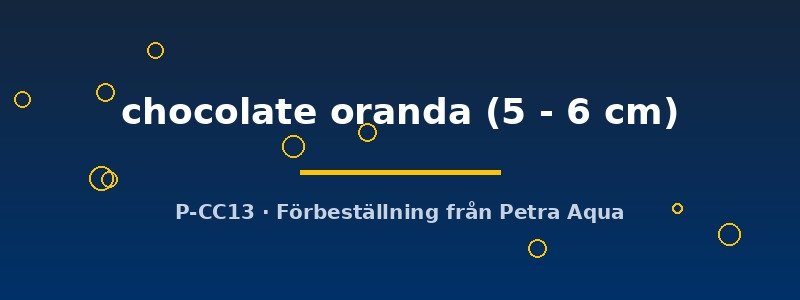petra-ph2-181515 petra-ph2-181515