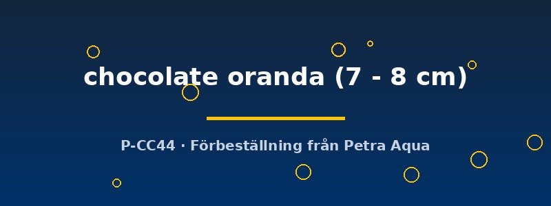 petra-ph2-181517 petra-ph2-181517