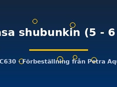 sarasa shubunkin (5 - 6 cm)