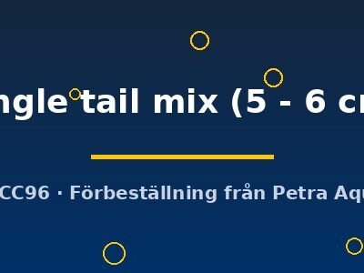 single tail mix (5 - 6 cm)