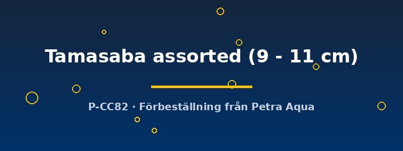 petra-ph2-181542 petra-ph2-181542