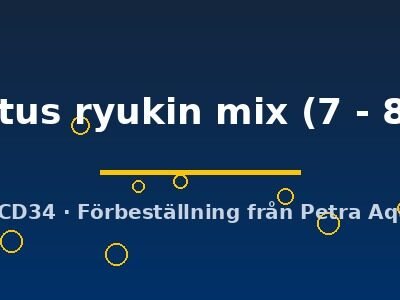 Carassius auratus l.f. auratus ryukin mix 7–8 cm