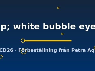 Carassius auratus l.f. black & white bubble eye 6–7 cm