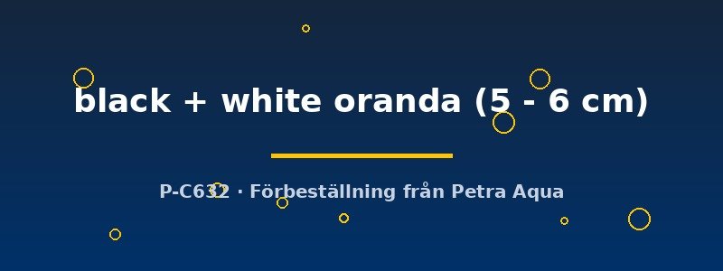 petra-ph2-181572 petra-ph2-181572