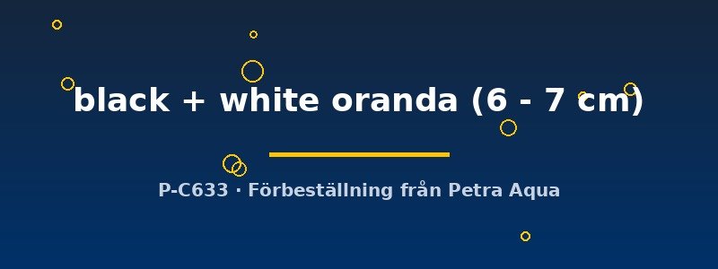 petra-ph2-181573 petra-ph2-181573
