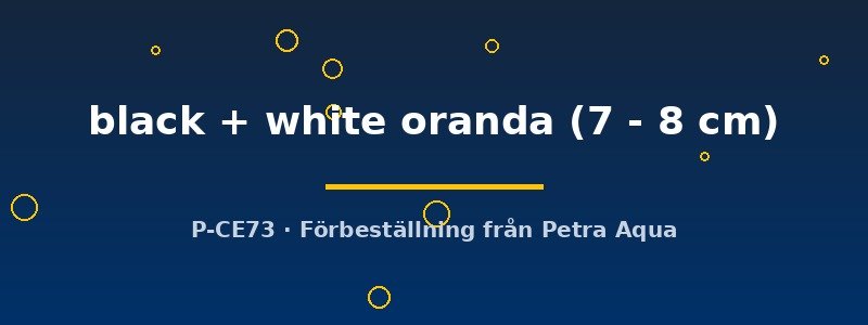 petra-ph2-181574 petra-ph2-181574