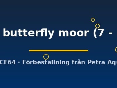 Carassius auratus l.f. black butterfly moor 7–8 cm