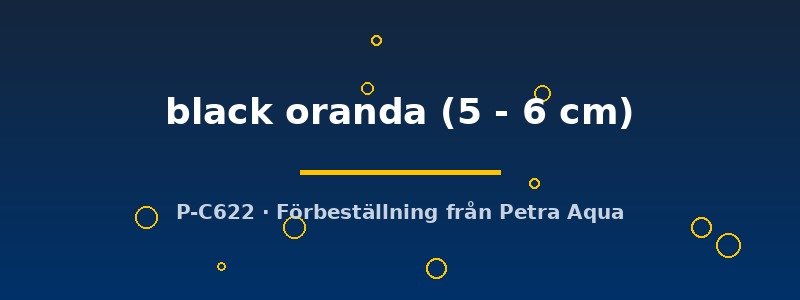 petra-ph2-181589 petra-ph2-181589
