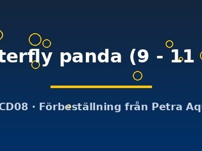 Carassius auratus l.f. butterfly panda 9–11 cm