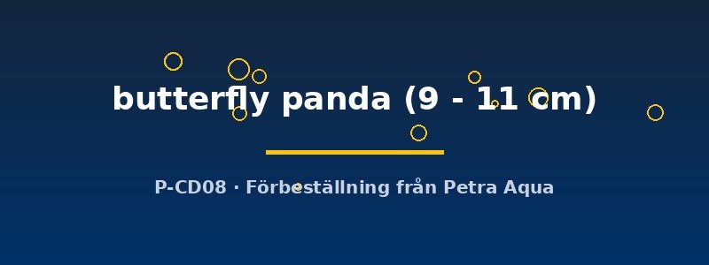 petra-ph2-181635 petra-ph2-181635