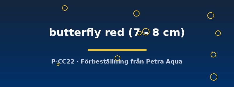 petra-ph2-181640 petra-ph2-181640