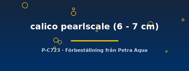 petra-ph2-181663 petra-ph2-181663