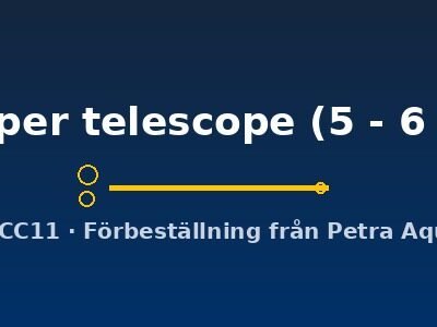 Carassius auratus l.f. copper telescope 5–6 cm
