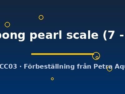 Carassius auratus l.f. ping pong pearl scale 7–8 cm