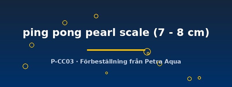 petra-ph2-181781 petra-ph2-181781