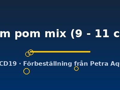 Carassius auratus l.f. pom pom mix 9–11 cm