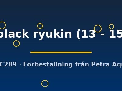 red black ryukin (13 - 15 cm)