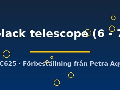 Carassius auratus l.f. red black telescope 6–7 cm